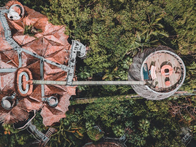 Luxury Canopy Treehouse