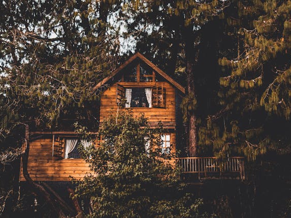 Rustic Family Treehouse