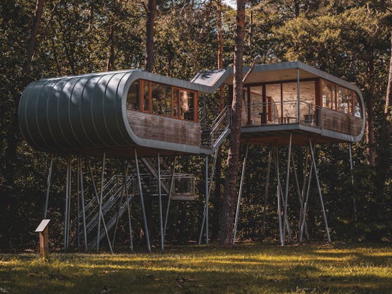 Modern Minimalist Treehouse