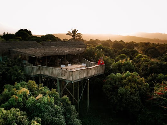 Eco-Friendly Retreat Treehouse
